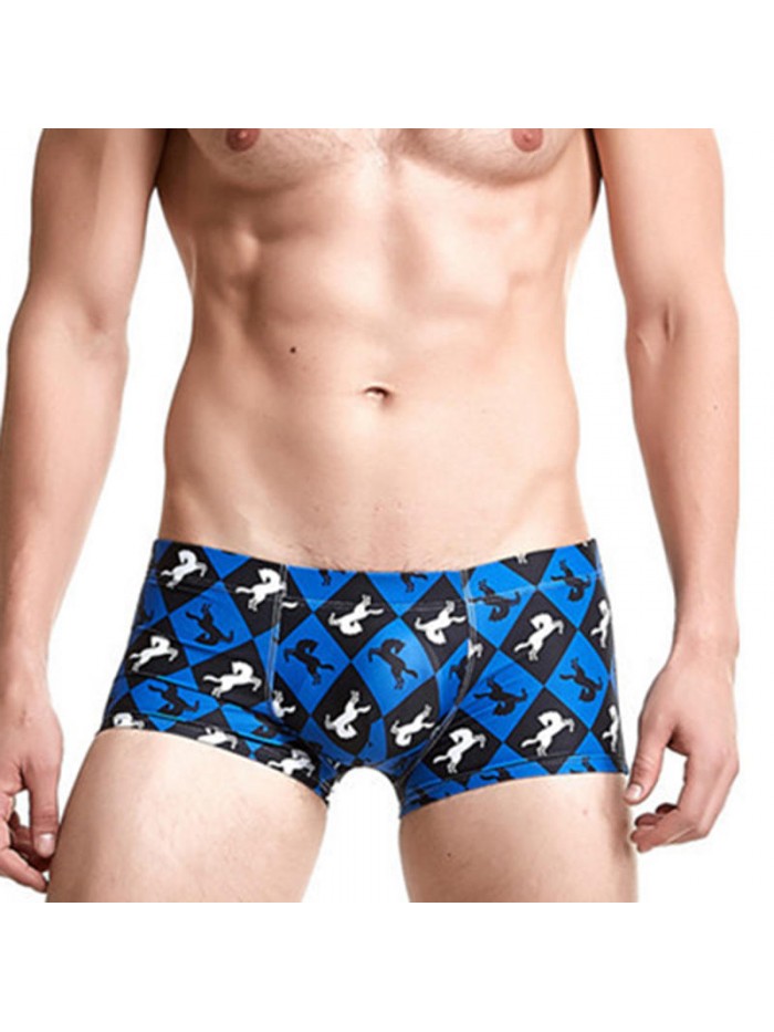 Mens Printing Trunks Drawstring Designer Swimwear with 3D Cup