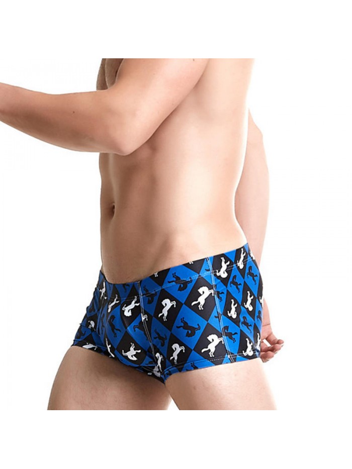 Mens Printing Trunks Drawstring Designer Swimwear with 3D Cup