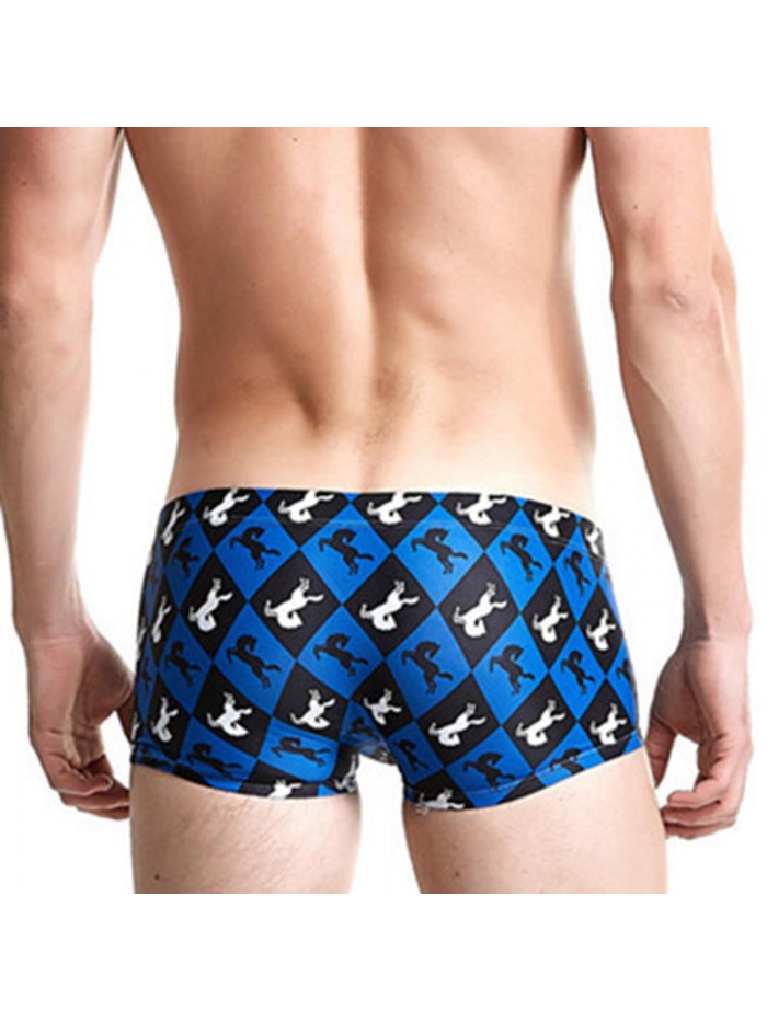 Mens Printing Trunks Drawstring Designer Swimwear with 3D Cup