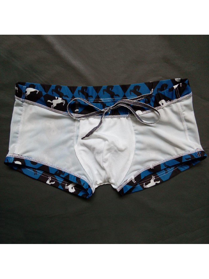 Mens Printing Trunks Drawstring Designer Swimwear with 3D Cup